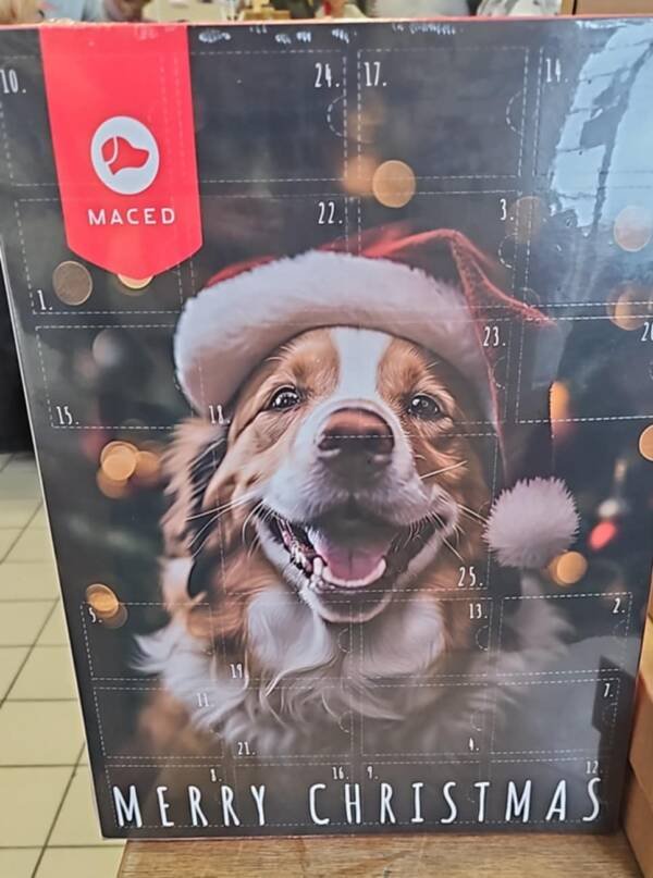 Calendrier de l'avent chien